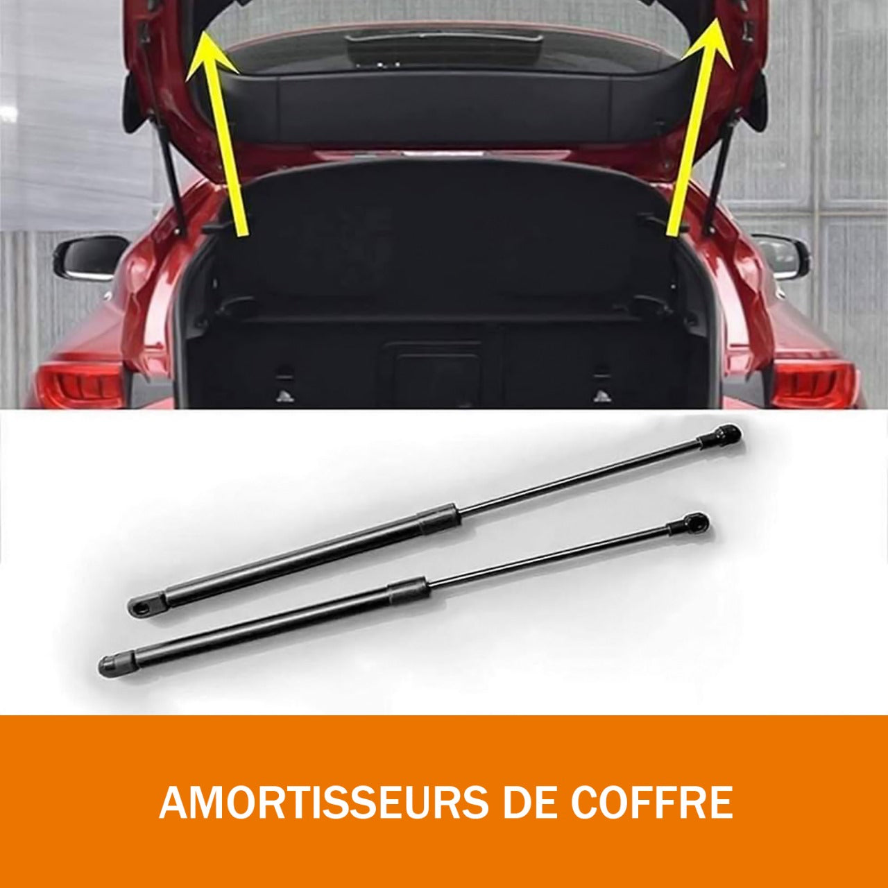 Amortisseurs de Coffre