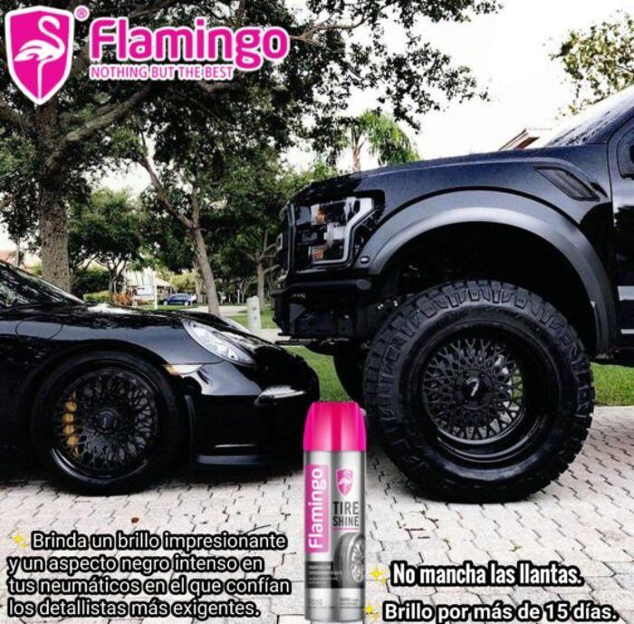 Nettoyage et polissage pour pneu brillants Flamingo Brillant Pneus voiture avec des pneu brillants et brillants peut être absolument