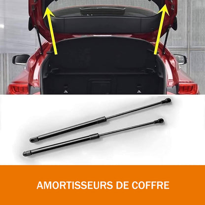 Amortisseurs de Coffre